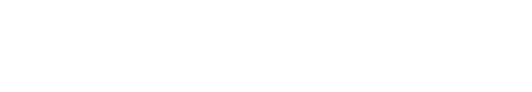 Logo Nidec Conversion